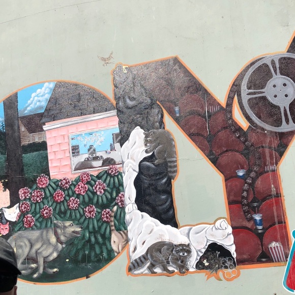 Meet your Posher, Barina - Picture 2 of 4